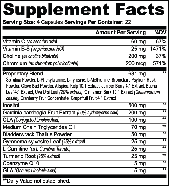 Supplement Facts for MrBiggz Fat Burner with MCT showing a four-capsule serving and ingredient amounts