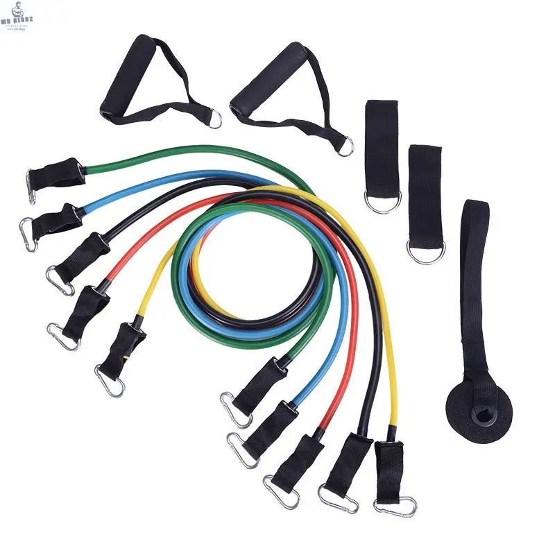 11-Piece Resistance Band Set, view 1 - MrBiggz Fitness Shop