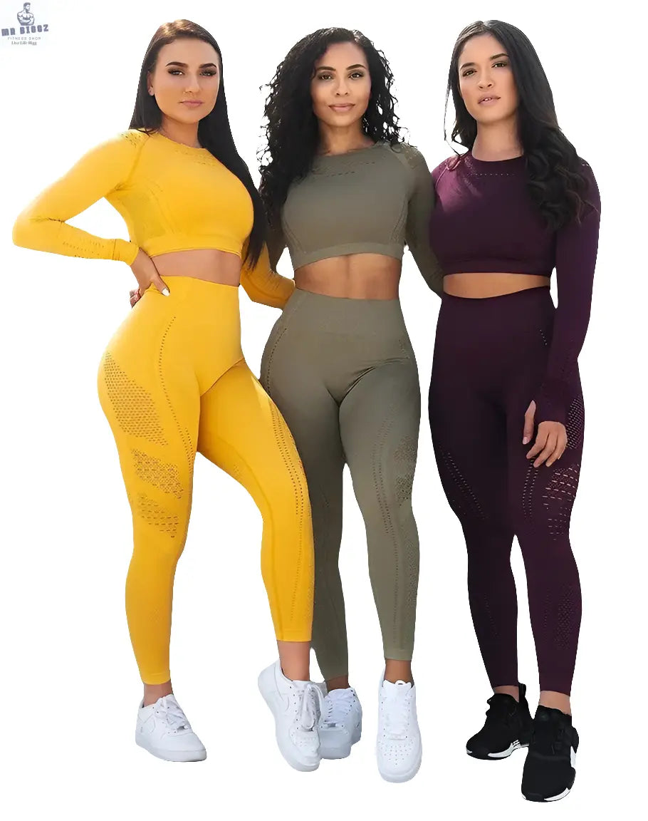 Women's Seamless Yoga & Gym Set, view 1 - MrBiggz Fitness Shop