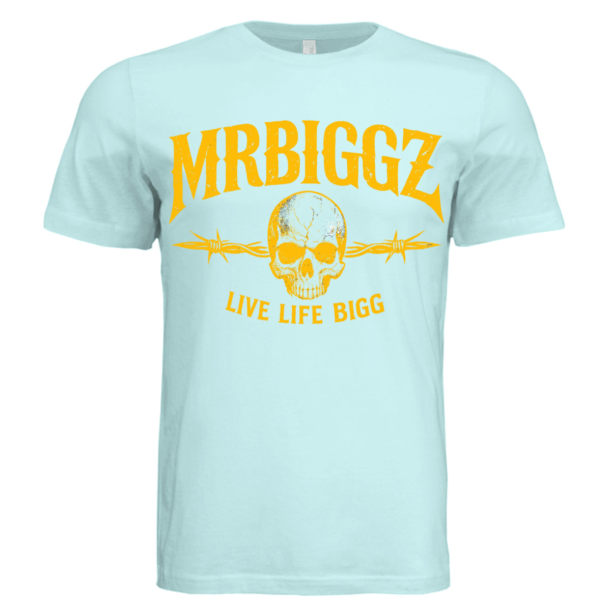 Skull Graphic Gym T-Shirt for Men in Mint - MrBiggz Fitness Shop
